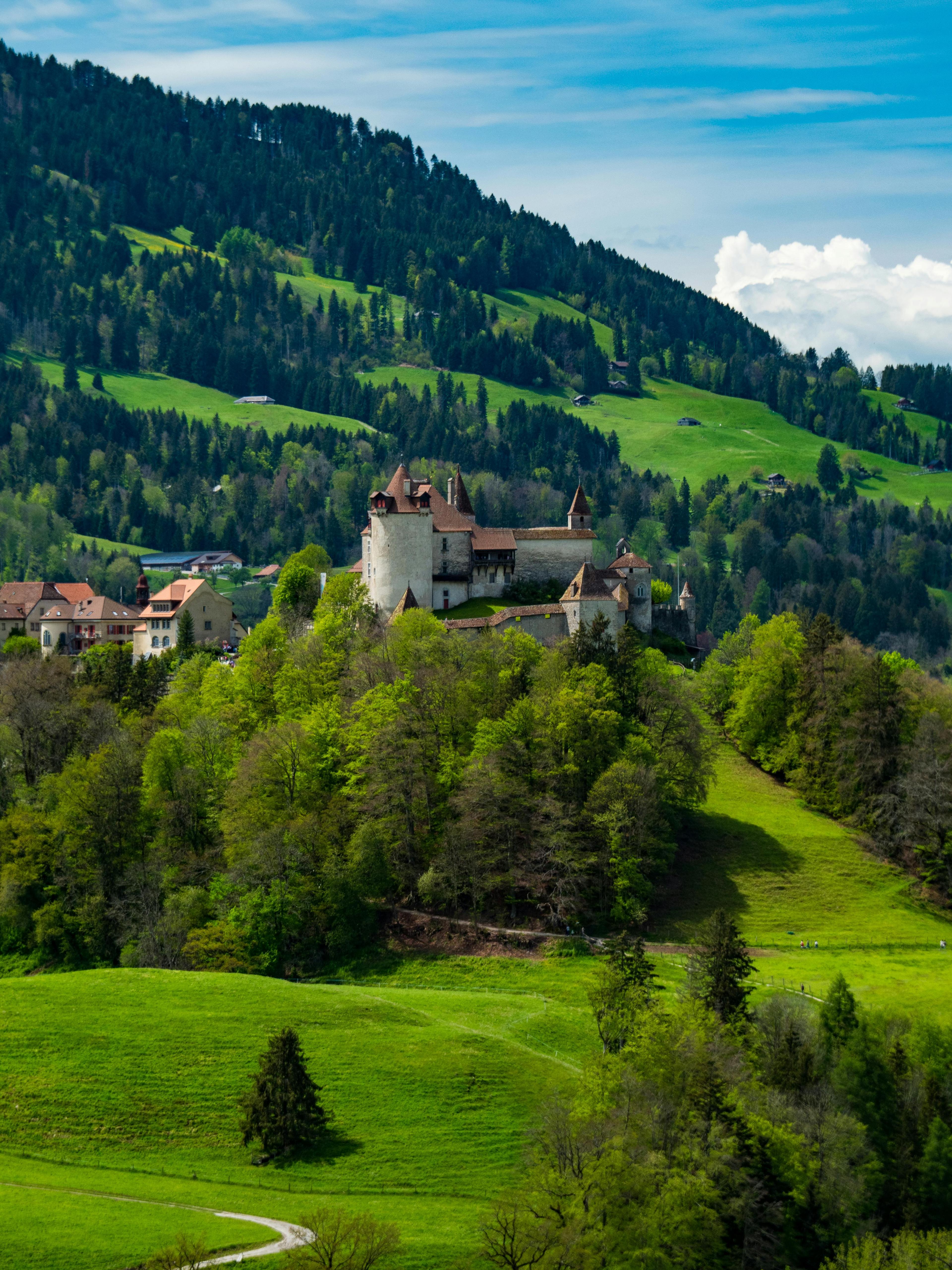 Landschaftsbild von Freiburg