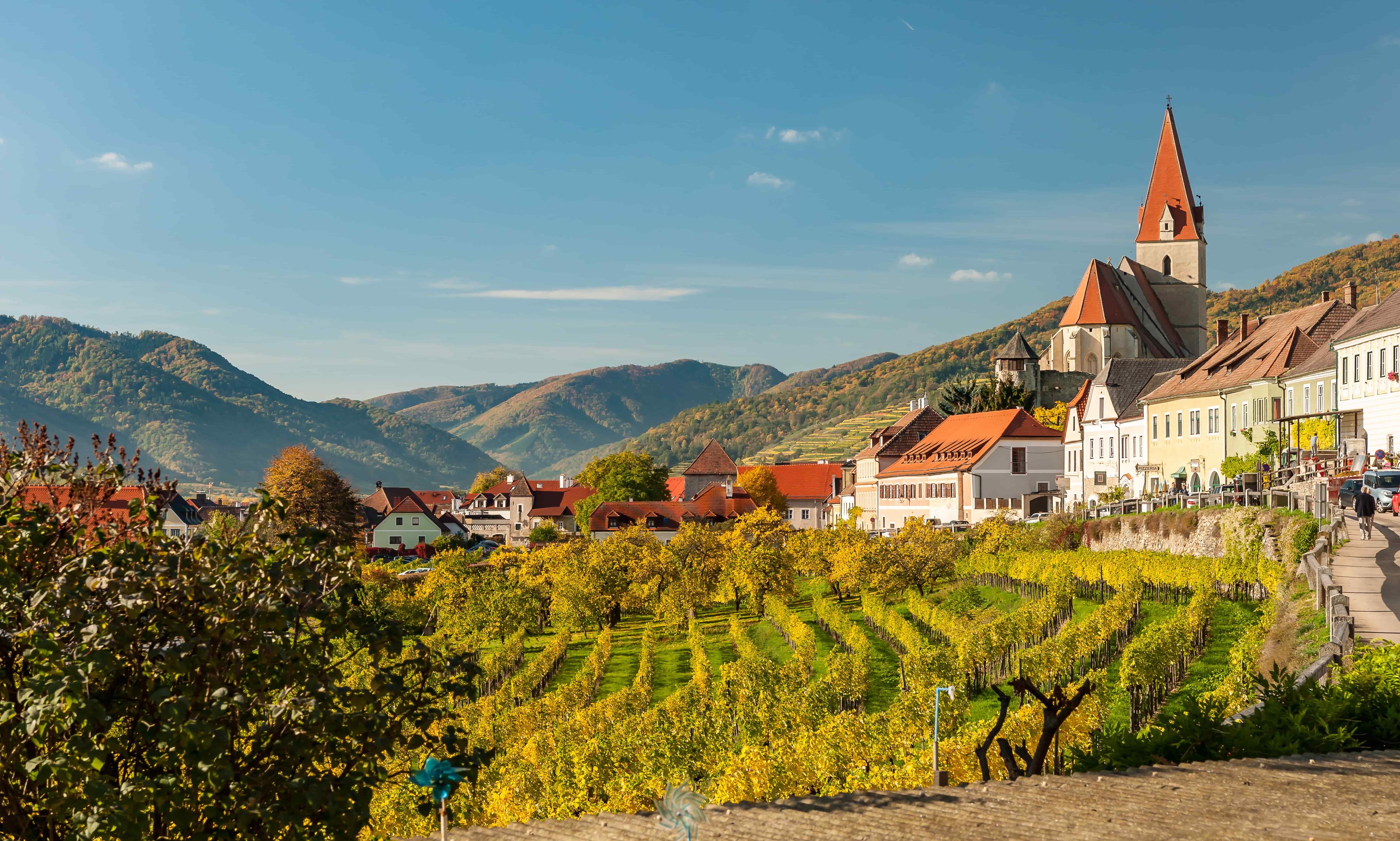 Landschaftsbild von Niederösterreich