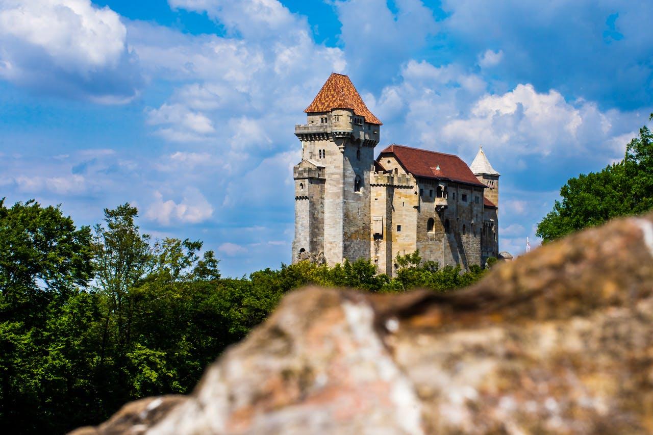 Medieval castle in front of flower meadow.