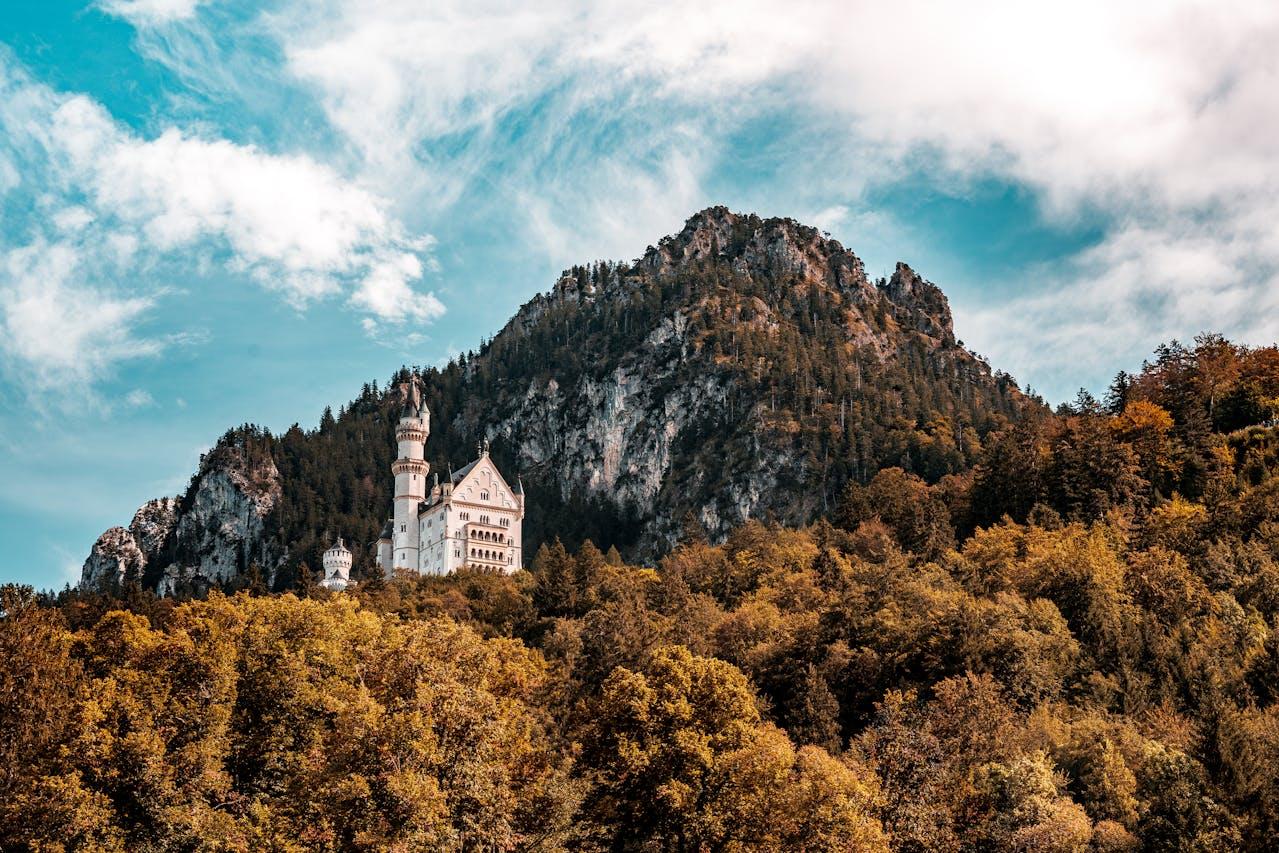 Schloss auf Berggipfel, Wald.