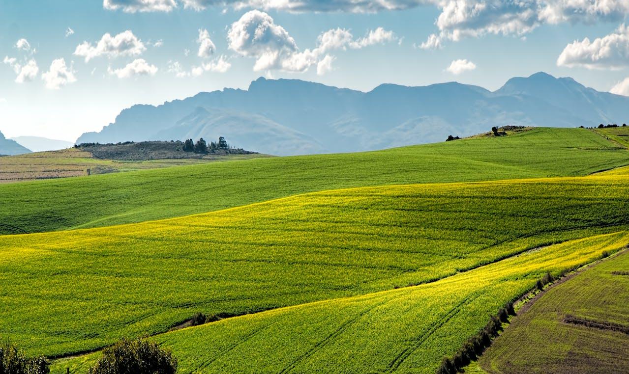Green fields, mountain landscape in the background.