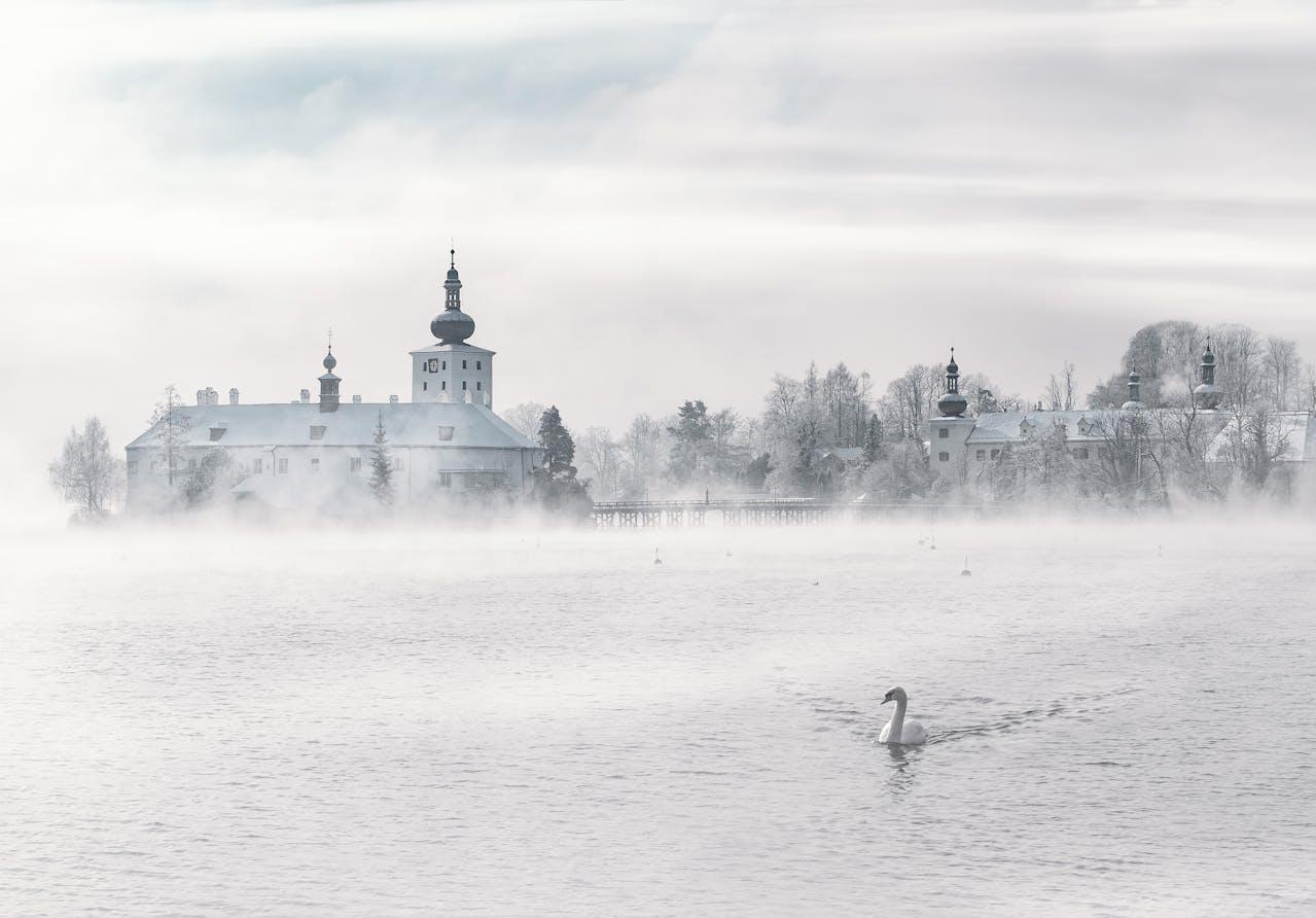 Paesaggio innevato con cigno.