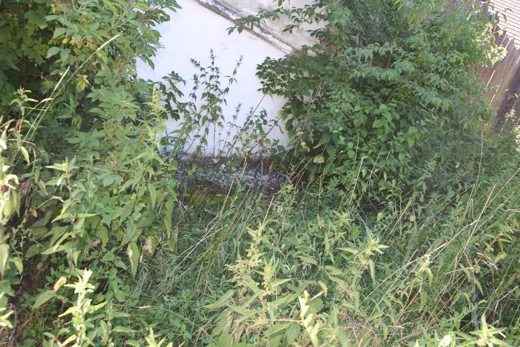 Property Inside Image perspectiv 3