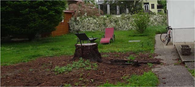 Property Inside Image perspectiv 3